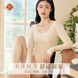 南极人 Термобелье, тонкие штаны, зимний свитер, в обтяжку