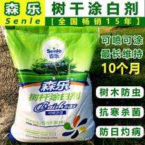Tree whitening agent fruit tree overwintering White antifreeze big tree insect-proof disease-resistant cold-resistant sterilization garden tree pole brush white powder