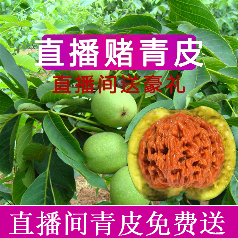 Bet on green skin play walnut four-building lion head walnut text play pipe cap green skin walnut live broadcast Hao Li son hat