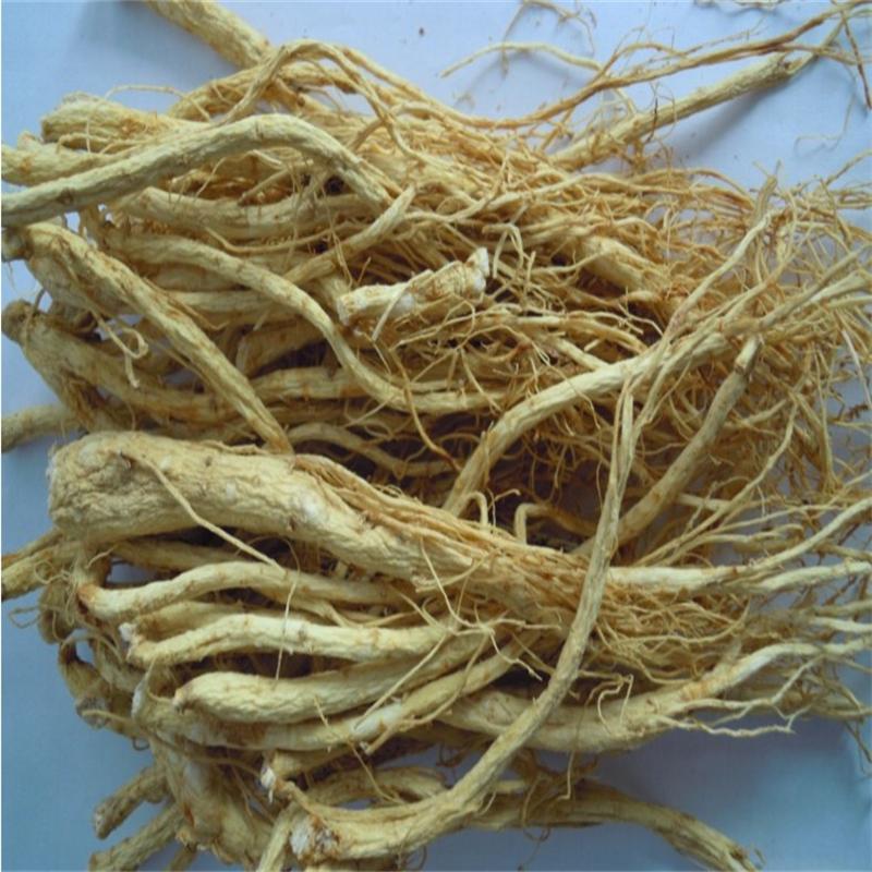 Northeast ginseng analysis by Chen Shanshan of Zelan Tang