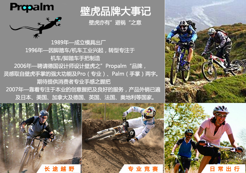 Poignées de vélo PROPALM - Ref 2355177 Image 6