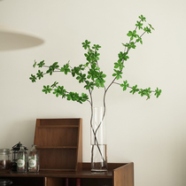 Advanced Sense Bell Horse Drunk Snow Willow Glass Vase Living Room Flower Transparent Plowwater PlowsAquatic INS