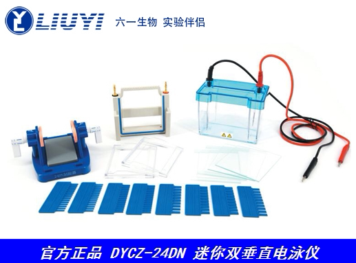 Beijing Liuyi Dycz-24Dn Type Mini Double Vertical Electrophoresis Instrument (Tank) (Small Size)