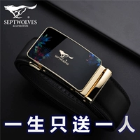 Золотая модель модели