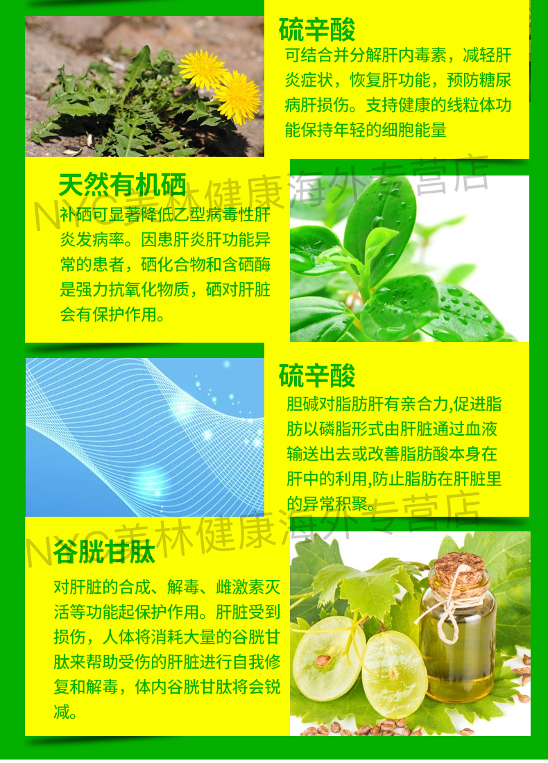 Mỹ nhập khẩu OPD sữa cây kế bảo vệ gan bảo vệ gan và gan bảo vệ gan giải độc gan sản phẩm nước ruồi - Thức ăn bổ sung dinh dưỡng viên vitamin c