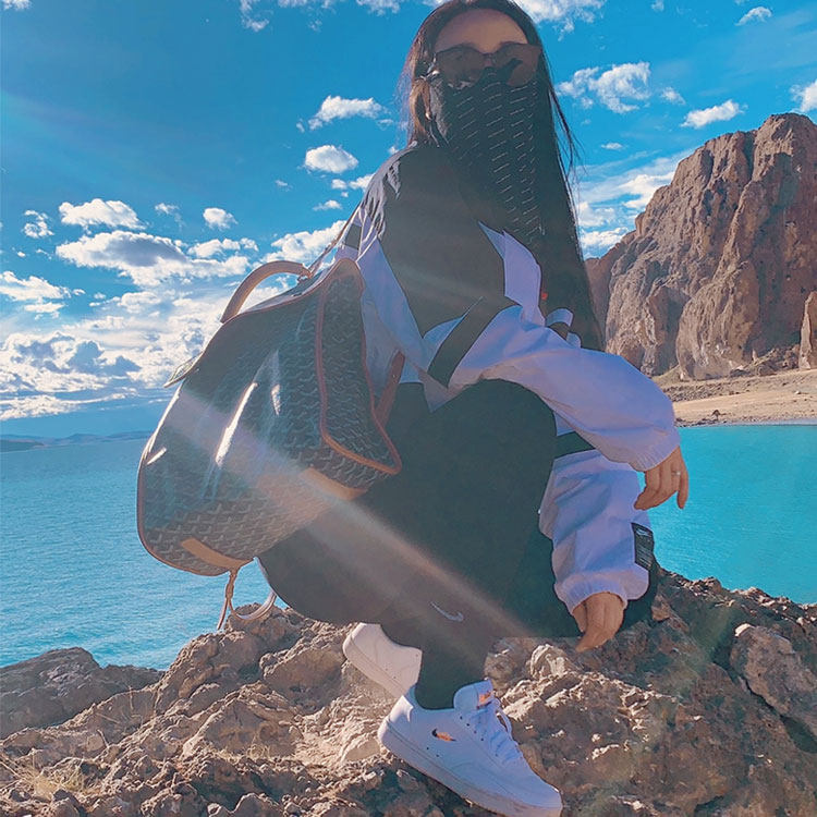 Elegant Germany new Goya goyard backpack VC Achigo with fashion dog tooth leather shoulder folding bag