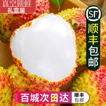 (24 hours next day) Gift box spot Shunfeng Hainan Princess laughed lychee 5 kg of fruit 8