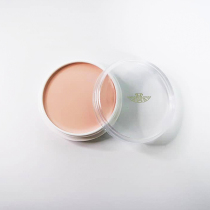 Japan Sanshan Concealer-filled Tear Groove 21p 25p Tear Groove Shopers Highgloss Concealer