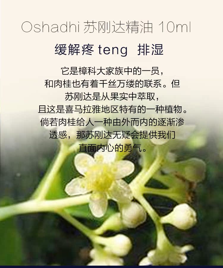 德國o家 2736特級蘇剛達精油10ml 白霜葉樟緩解疼痛排濕 露天拍賣 德國o家 2736特級蘇剛達精油10ml 白霜葉樟緩解疼痛排濕 露天拍賣