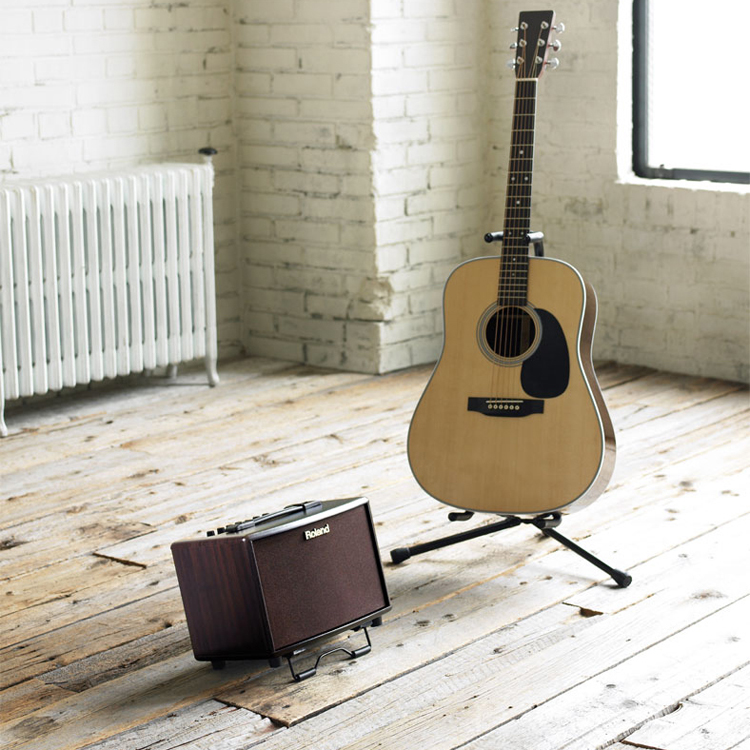 Roland Roland AC33 AC33RW AC40 AC60 đàn guitar acoustic dân gian - Loa loa loa đứng