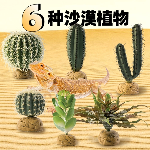 Сиджин с восхождением на поднимание