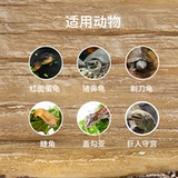 Капл зажимать угловой дворец пищевой бассейн