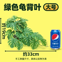 【Большой】 зеленый лист черепах