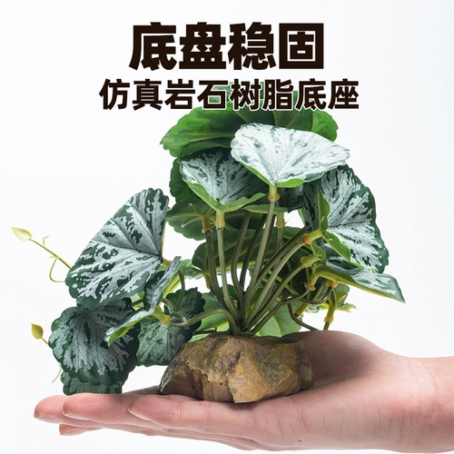 Восхождение на ландшафтные заводы для ландшафта животных живут в крабе, ящерица земли, ящерицы для подъема дождевых лесов Зеленые растения, чтобы избежать декоративных украшений