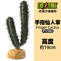 Кактус пальцев Pt2983 015561229838