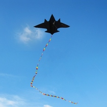 New aircraft fighter kite children cartoon adult large novice beginner kite breeze easy flying Weifang