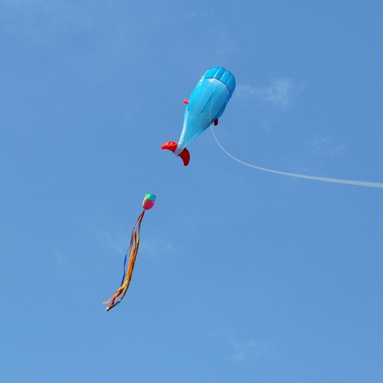 Weifang Kite Software Whale Kite Dolphin Kite Dolphin Kite Easy to fly Anti-windy children kite Kite Adult Kite Line