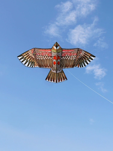 Воздушный змей для взрослых, орел, новая коллекция