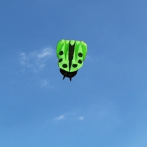 Weifang kite new soft ladybug kite children adult large kite breeze easy flying kite reel