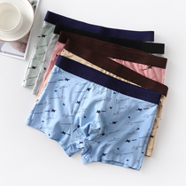 Teen Hairdrests Briefs Pants Mens Flat Corner Pants 12 Year Old CUHK Boy Modale Pure Cotton Little Boy 13 +