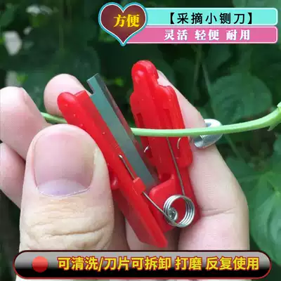 Finger picking agricultural scissors cucumber pinching thumb knife picking vegetable gardening Orchard knife ring knife
