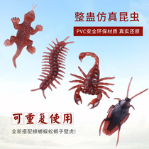 Fools Day Emulation Bugs Sub Toys Spiders Scorpion Centipedes Wall Tiger Flies Scare Fake Cockroach Whole People Props