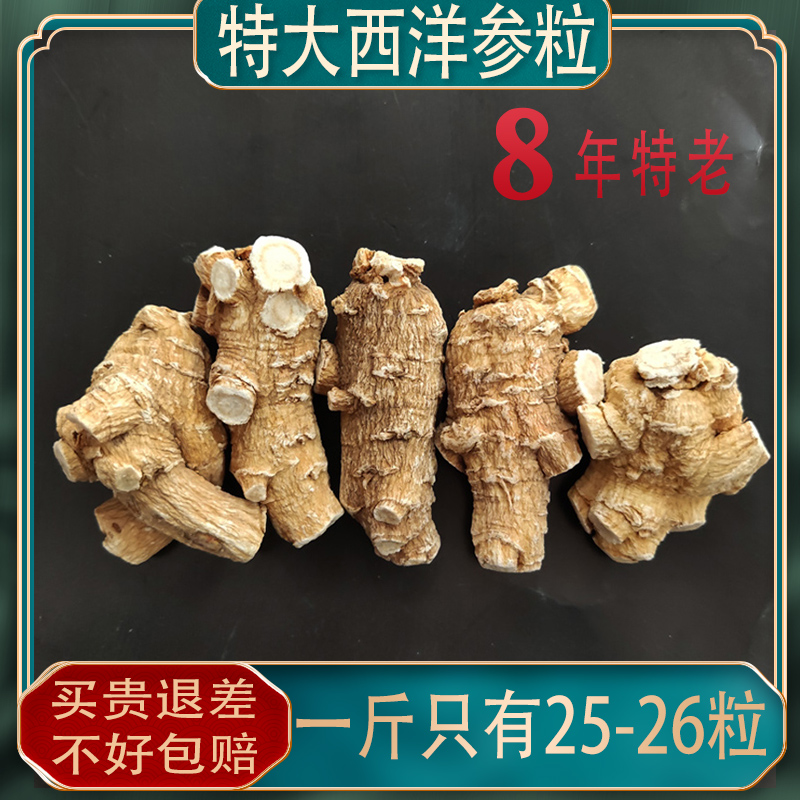 Step up extra-large American ginseng grain selection Citi ginseng head Citi Ginseng Extra-large Citi Bubble Water Exhibi
