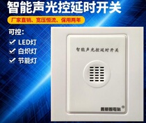 Intelligent sound and light control switch 220V automatic Corridor light sensor switch voice control delay sensor switch