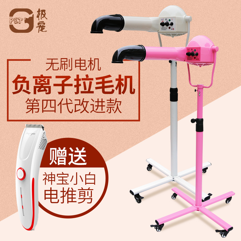 Spring Boat Pet Store Beauty Teddy Bibong Dogs Special Silent Large Hairdryer Negative-Ion Vertical Lairy Machine