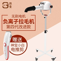 Shenbao Pet Shop Teddy Salvation Cat Dog Beauty Profession