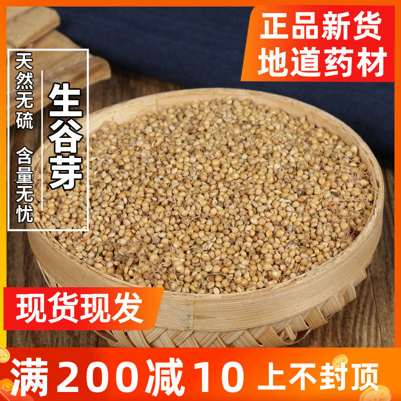 Chinese herbal medicine Gu buds 500 gr millet Sprout Shop with other raw malt fried rice sprouts fried rice sprouts