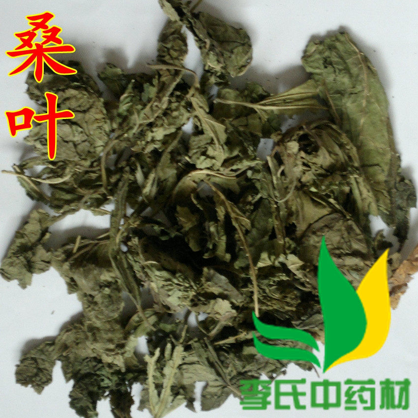Chinese herbal medicine creamy mulberry leaf winter mulberry leaf 500g full of two