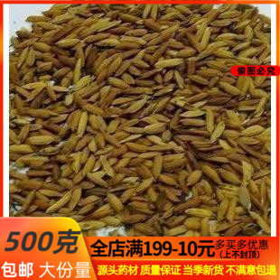 Chinese herbal medicine fried rice sprouts fried rice buds 500 gr