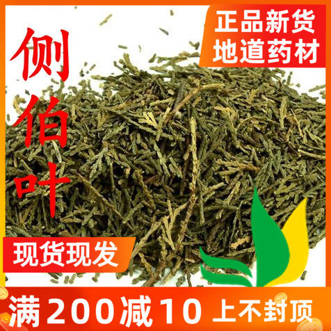 Arborvitae sun-dried leaves