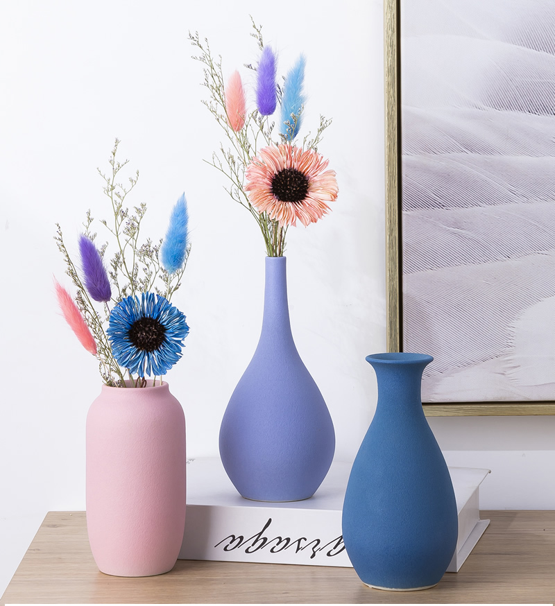 The Nordic floret bottle furnishing articles dried flower arranging flowers sitting room adornment table, TV ark, household ceramics with modern decoration