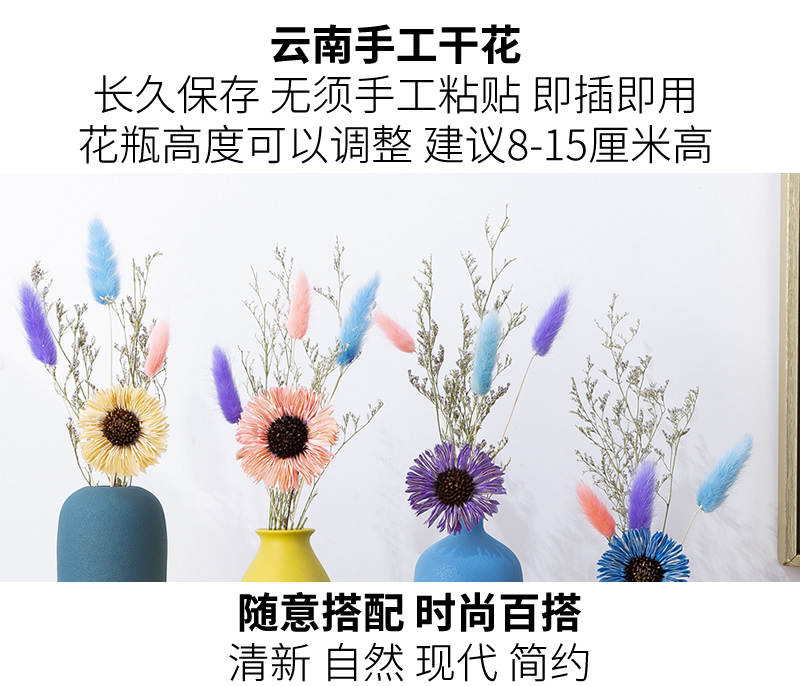 Northern wind ins floret bottle of dry flower adornment is placed in the sitting room TV cabinet table arranging flowers ceramic home decorations