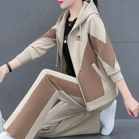 Абрикосовая куртка, штаны, футболка