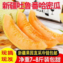 Xinjiangs Hamegua Fresh Fruit Turpan Western State Honey a whole box of 10 catties when the season is now taken off the whole country