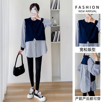 Maternity wear spring and autumn new fashion casual versatile loose slimming age-reducing striped top fake two-piece dress