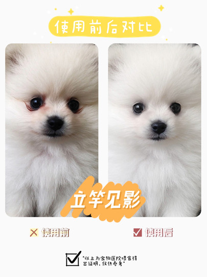 Paper Sugar House Taiwan alican tear stain solution to relieve tear stains Bichon Frize Teddy Dog Oral Liquid