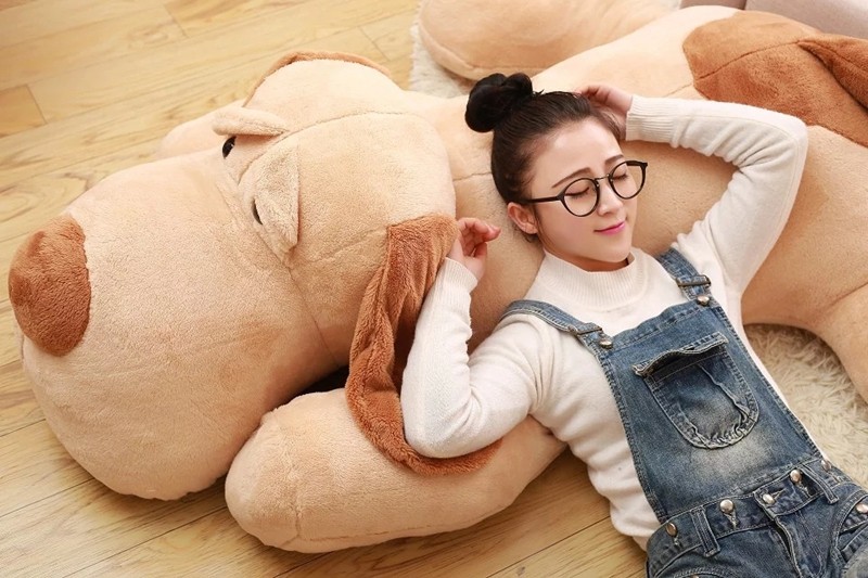 ���Ƶ�ŵë�����345