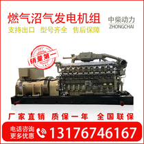 Farm backup generator equipment 50kw large container can be paralleled to the grid natural gas biogas liquefied gas