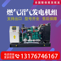 Natural gas biogas generator gas generator set 300 400 800KW energy-saving parallel machine and grid-connected biogas