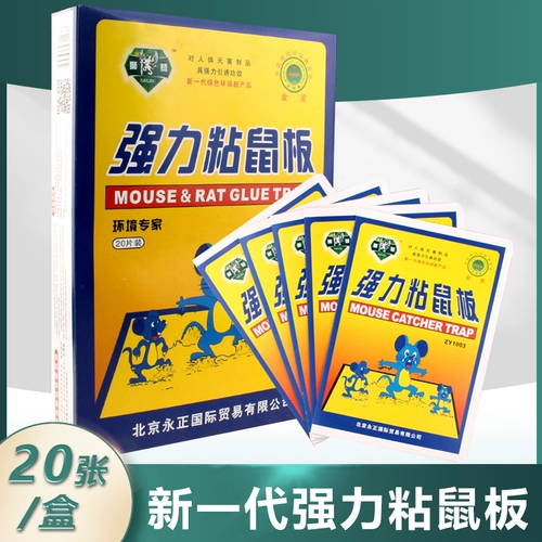 伃 橀紶 姏 伃 姏 姏 鎹 鎹 曢 绁 炲 櫒 姄澶 € € 侀紶 鍏 嬫槦 樿 樿 椹 椹 椹 椹 侀紶 绐濈  寮 寮 寮