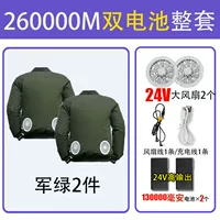 【260 000 24 В】 2 кусочки военного зеленого супер стиля