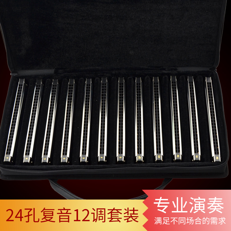 Germany imported reed Easttop24 hole polyphonic harmonica 7 key 12 key 28 hole set adult professional performance