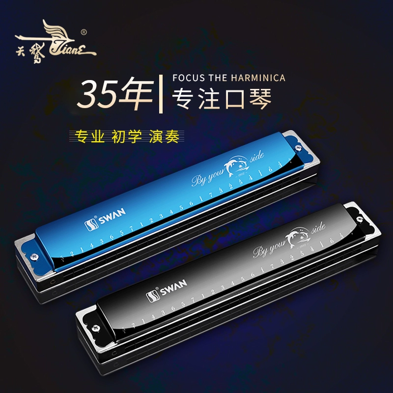 Cồng chiêng 24 lỗ harmonica đa âm C nhập khẩu Nhật Bản cho nam / nữ mới bắt đầu biểu diễn chuyên nghiệp Nhạc cụ thiên nga - Nhạc cụ phương Tây