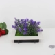 Mô phỏng khung ảnh mọng nước treo tường trang trí tường phòng khách TV tường trang trí 3d cây xanh giả hoa mảnh - TV