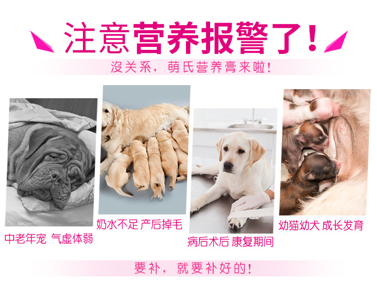 Kem dưỡng da cho chó của mèo mèo cưng mèo Teddy mèo con mèo điều hòa đường tiêu hóa dinh dưỡng canxi cao - Cat / Dog Health bổ sung sữa cho chó con rẻ