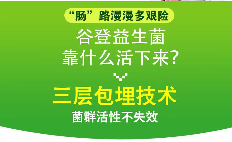 Gudeng chó men vi sinh điều hòa dạ dày kho báu vật nuôi mèo sản phẩm sức khỏe viêm dạ dày chán ăn nôn tiêu chảy Sữa cho chó con 2 tháng tuổi